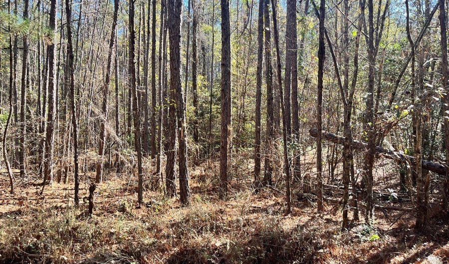 0 Chief Rd, Abbeville, AL 36310 - 0 Beds, 0 Bath