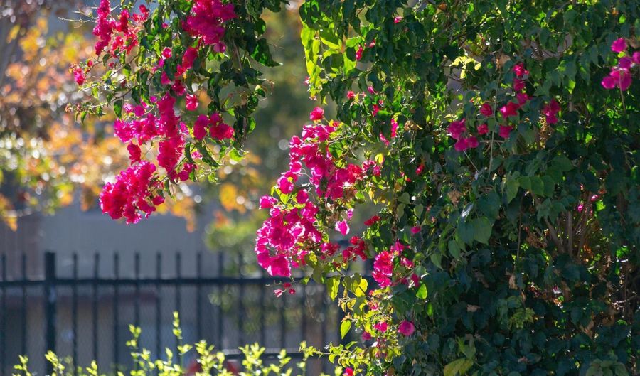 1311 Webster St E316, Alameda, CA 94501 - 2 Beds, 2 Bath