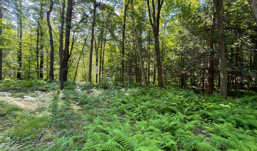 Great Hollow Road, Cornwall, CT 06753 - 0 Beds, 0 Bath