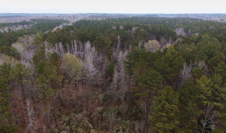 Bright Road, Ackerman, MS 39735 - 0 Beds, 0 Bath