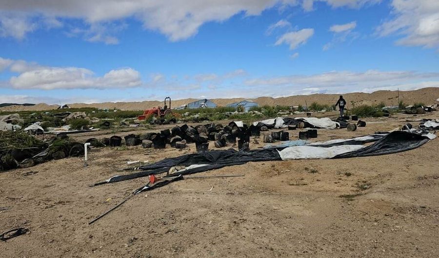 22775 El Privilegio, Adelanto, CA 92301 - 0 Beds, 0 Bath