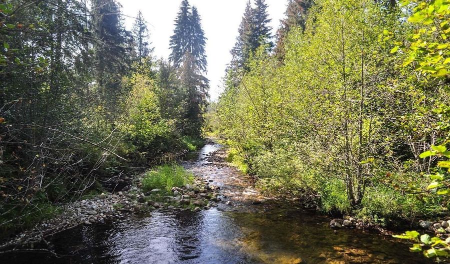 244 Culvert Ln, Bonners Ferry, ID 83805 - 0 Beds, 0 Bath