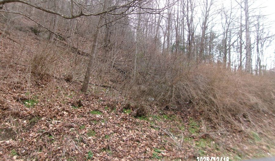 3675 Anawalt Ridge Rd, Anawalt, WV 24808 - 0 Beds, 0 Bath