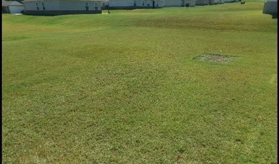 30 Erwin Dr, Austin, AR 72007 - 4 Beds, 2 Bath