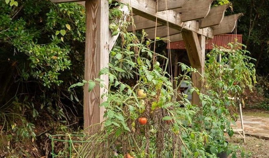 1395 Panther Crk, Almond, NC 28702 - 3 Beds, 3 Bath