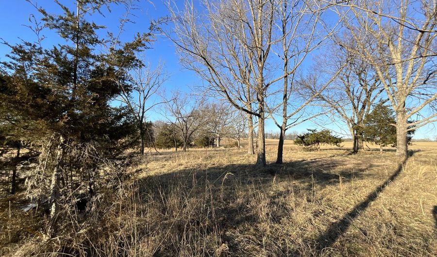 000 County Road 413, Alton, MO 65606 - 0 Beds, 0 Bath
