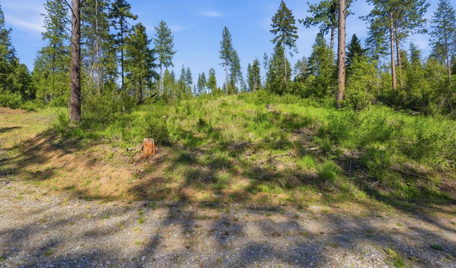 NNA Stone Rd Lot 5 20.0 Acres, Blanchard, ID 83804 - 0 Beds, 0 Bath