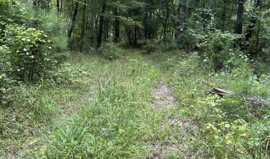 S Hwy 221, Adrian, GA 31002 - 0 Beds, 0 Bath