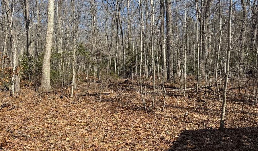 Brookstone Road lot 3, Bastian, VA 24314 - 0 Beds, 0 Bath