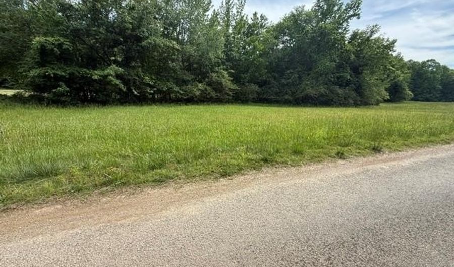 Raintree Dr, Big Sandy, TN 38221 - 0 Beds, 0 Bath