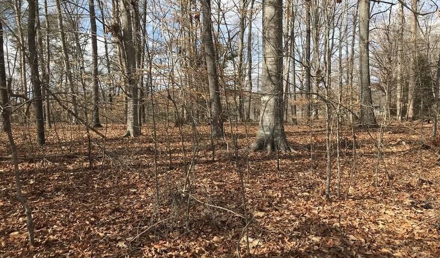 Devon Way Road, Baneberry, TN 37890 - 0 Beds, 0 Bath