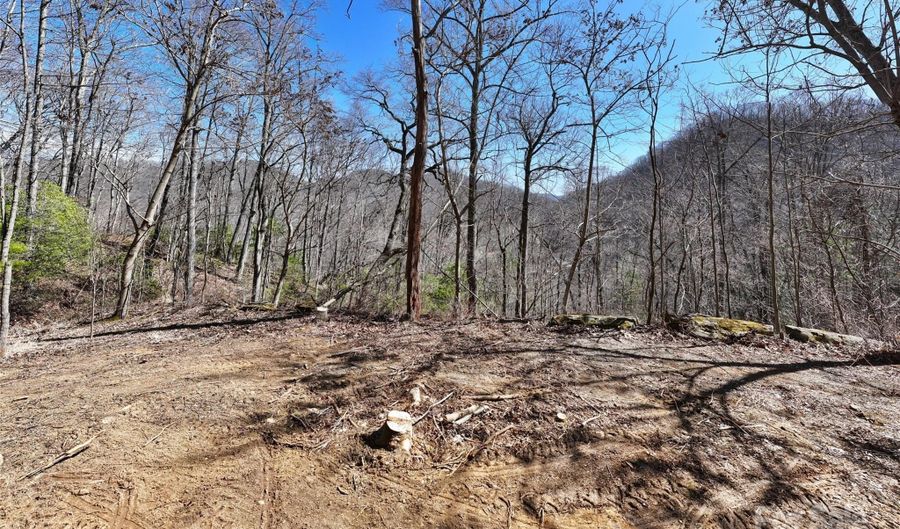 99999 Green Ridge Falls Rd 17, Barnardsville, NC 28709 - 0 Beds, 0 Bath