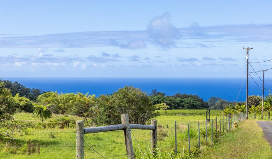 29-605 CHIN CHUCK Rd, Hakalau, HI 96710 - 0 Beds, 0 Bath
