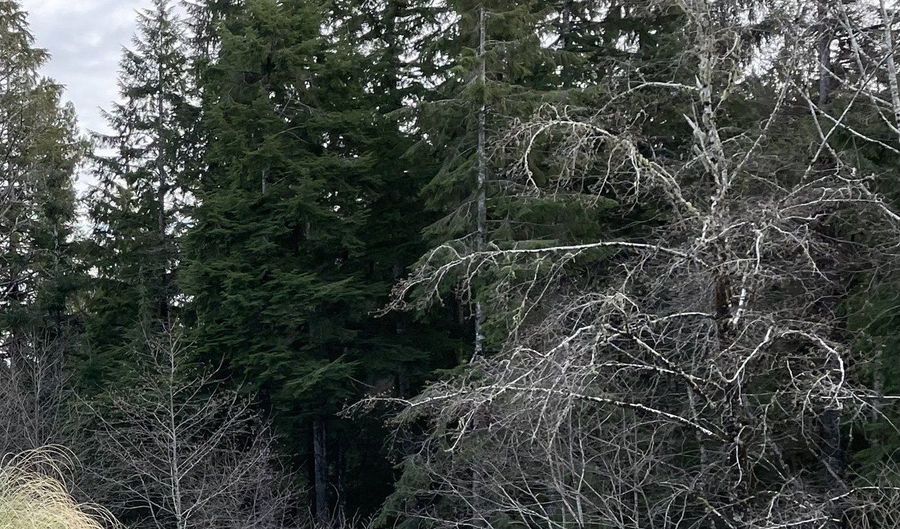 Groveland Ave unit 5 & 6 5 & 6, Aberdeen, WA 98520 - 0 Beds, 0 Bath