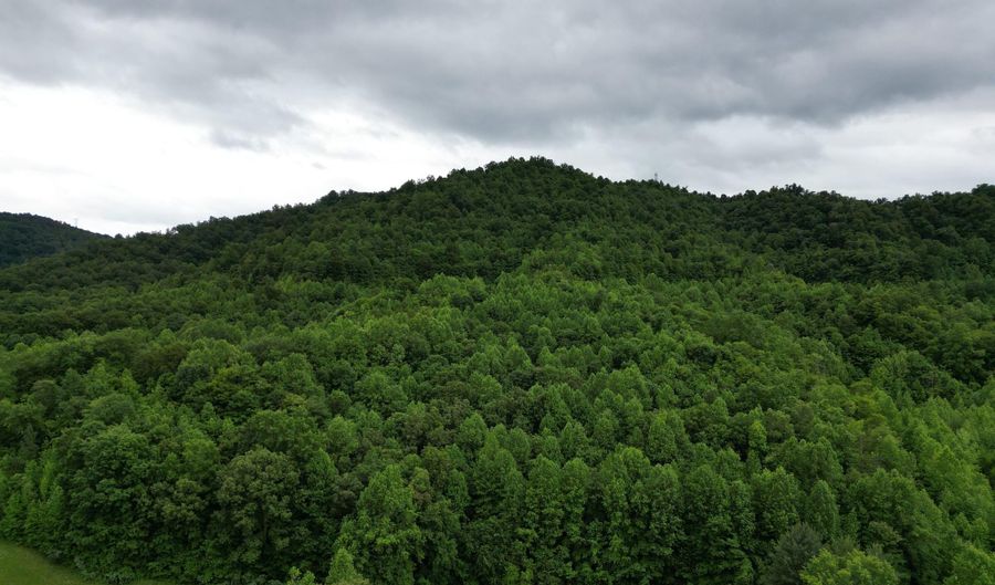 9999 King Fork Rd, Barbourville, KY 40906 - 0 Beds, 0 Bath