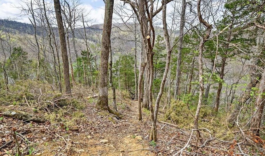 1089 Cornerstone Pkwy Lot 1A & D, Allons, TN 38541 - 0 Beds, 0 Bath