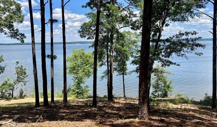 171 Lakeview Ter, Abbeville, AL 36310 - 0 Beds, 0 Bath