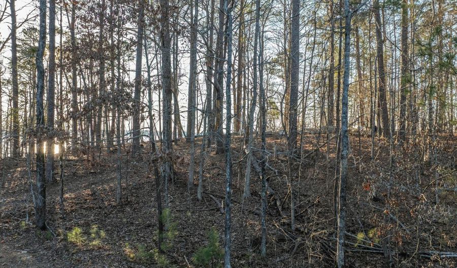 124 West Rdg, Alexander City, AL 35010 - 0 Beds, 0 Bath