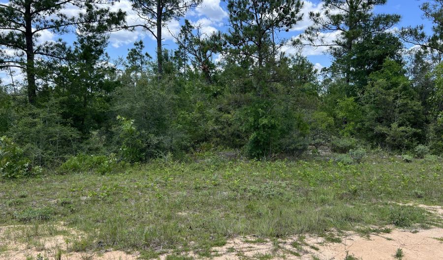 Lot 6 Cleveland Drive, Alford, FL 32420 - 0 Beds, 0 Bath