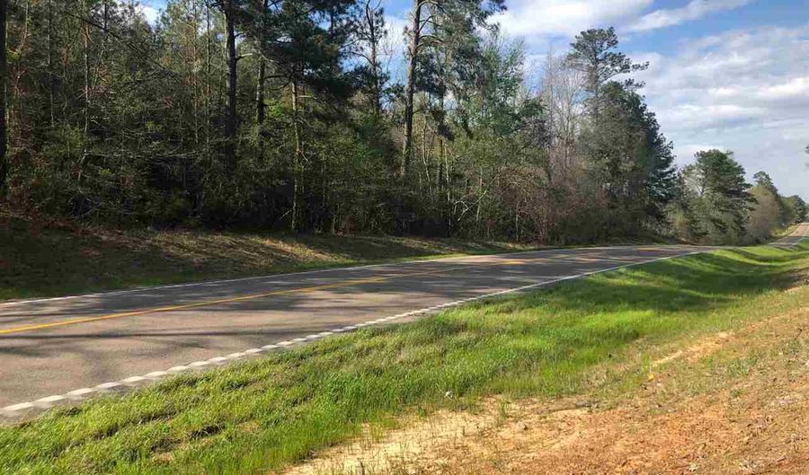 000 HWY 15, Bay Springs, MS 39422 - 0 Beds, 0 Bath