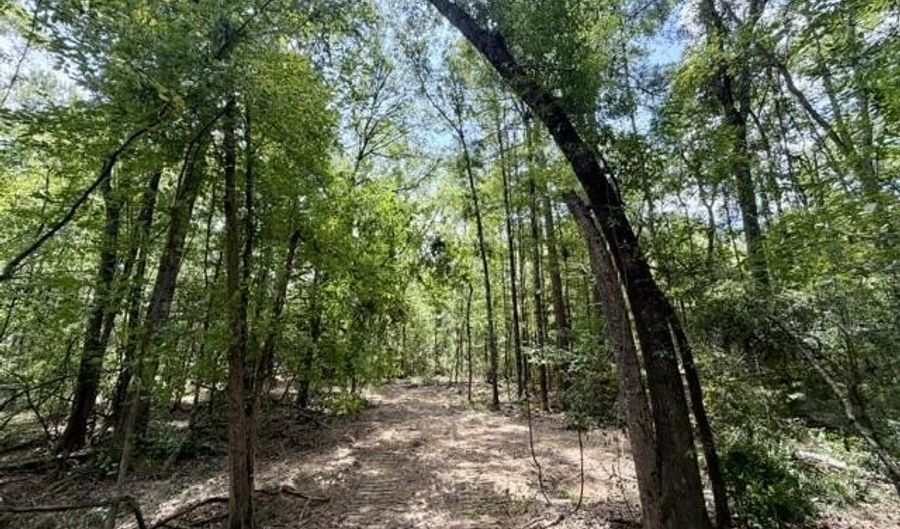 SE Lee Drive, Bogue Chitto, MS 39629 - 0 Beds, 0 Bath