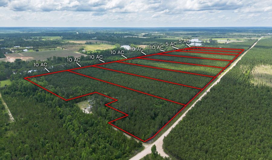 Tract 10 Sanderling, Alma, GA 31510 - 0 Beds, 0 Bath