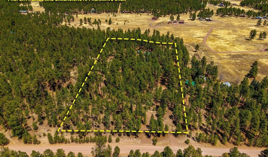 61 Co Rd 2266, Alpine, AZ 85920 - 3 Beds, 2 Bath