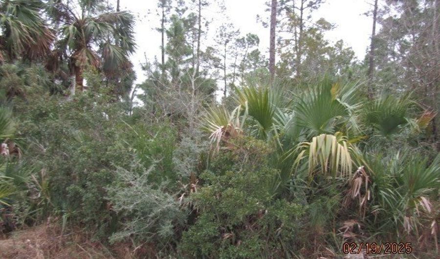110 24th Ave, Apalachicola, FL 32320 - 0 Beds, 0 Bath