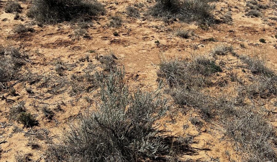 W Mora Drive lot 12, Belen, NM 87002 - 0 Beds, 0 Bath