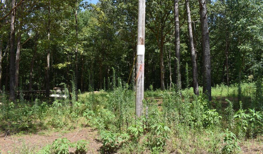 6 Gray Academy Rd, Ashland, MS 38603 - 0 Beds, 0 Bath