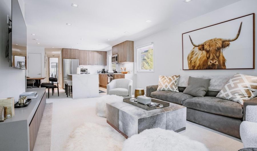 210 E Cooper Ave 3G, Aspen, CO 81611 - 2 Beds, 2 Bath