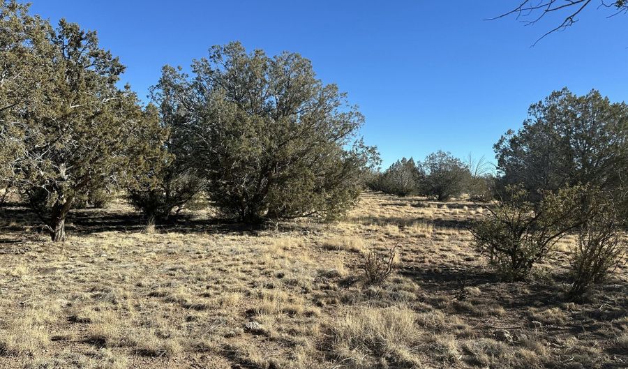 2249 Cienega Dr, Ash Fork, AZ 86320 - 0 Beds, 0 Bath