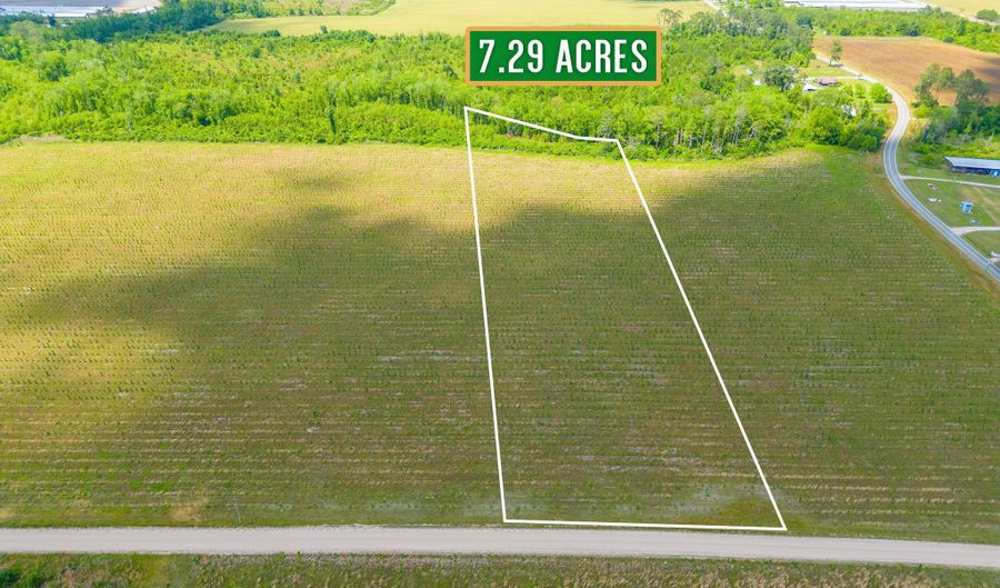 Tract 12 Sellers, Baxley, GA 31513 - 0 Beds, 0 Bath