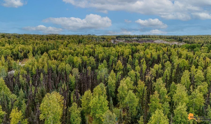 6092 S Purinton Pkwy, Big Lake, AK 99623 - 0 Beds, 0 Bath