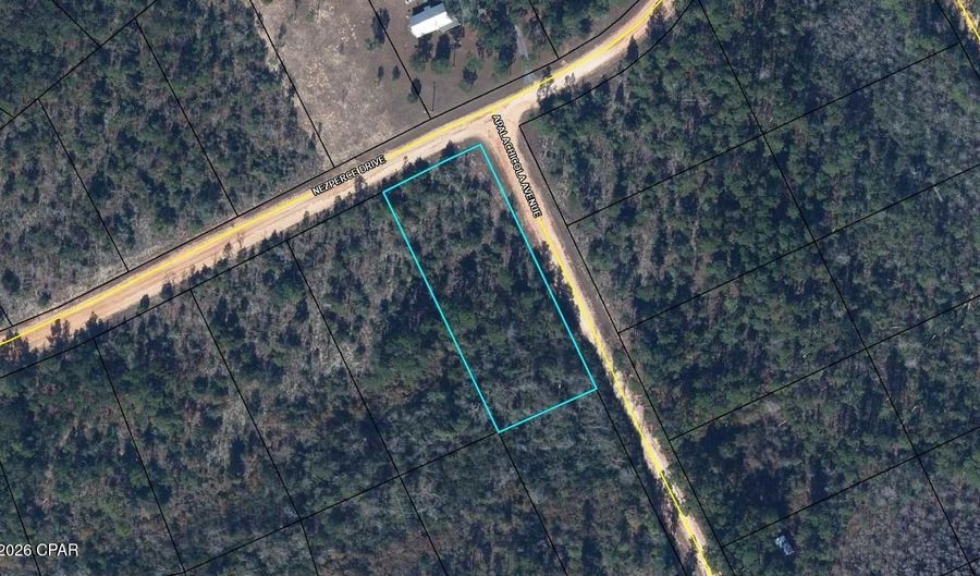 Nezperce Drive, Alford, FL 32420 - 0 Beds, 0 Bath