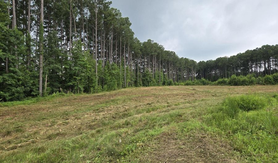 Lot 50 Roseheath Court, Bailey, NC 27807 - 0 Beds, 0 Bath