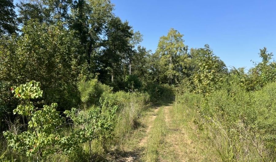MILTON WHITE ROAD, Bastrop, LA 71220 - 0 Beds, 0 Bath