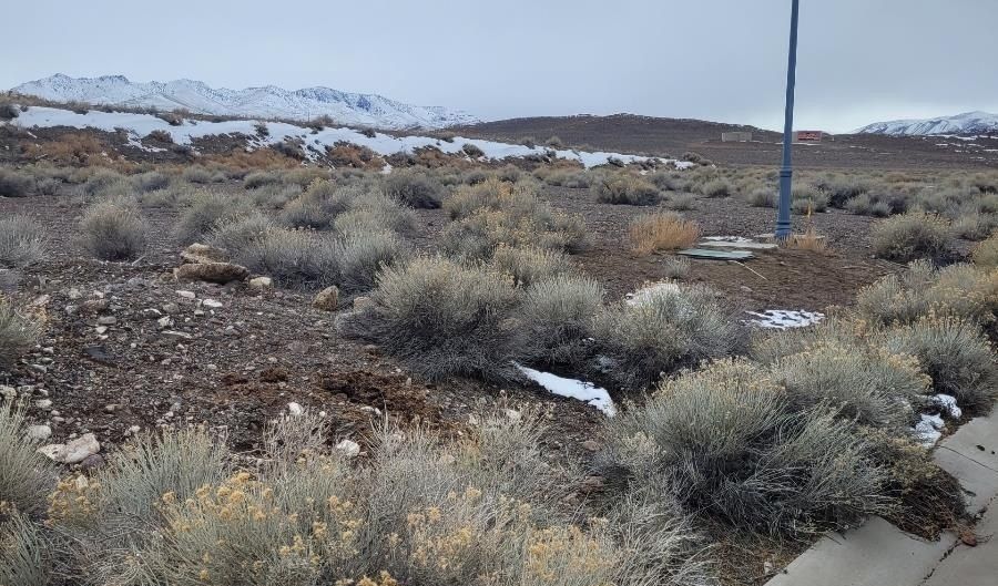 113-123 Sario Dr, Fernley, NV 89408 - 0 Beds, 0 Bath