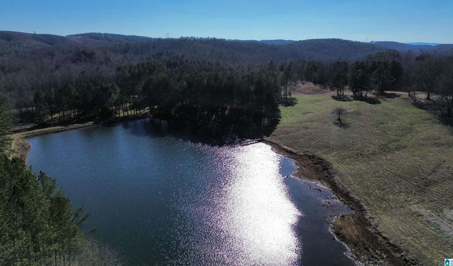 46088 HIGHWAY 77 Lot 0, Ashland, AL 36251 - 0 Beds, 0 Bath