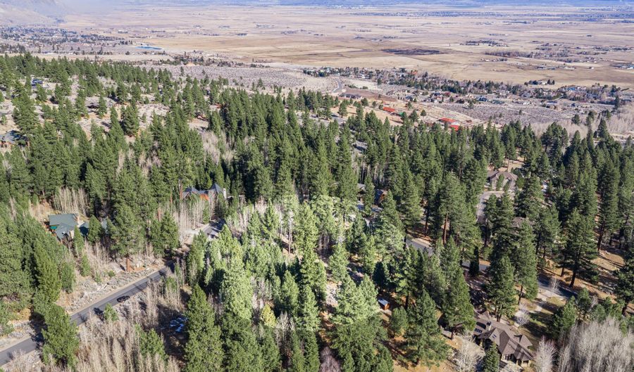 240 Forest Hill Way, Gardnerville, NV 89460 - 0 Beds, 0 Bath