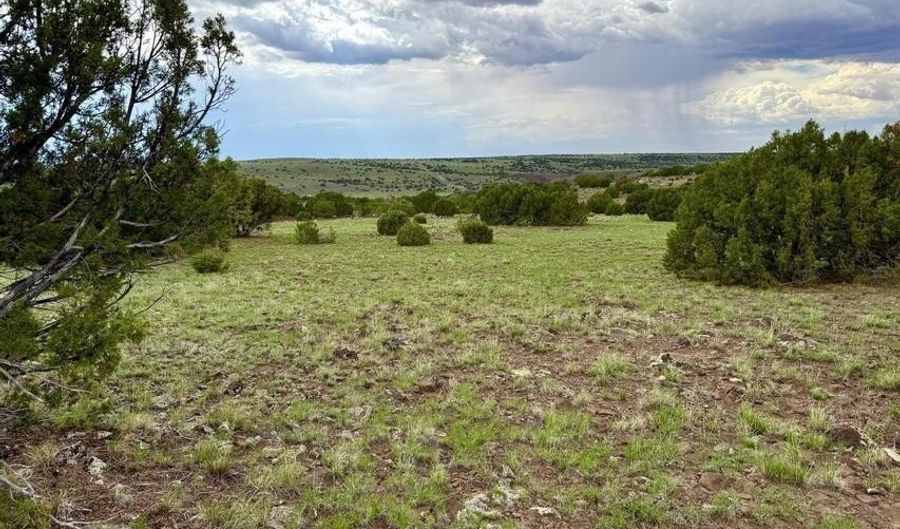 83 County Rd. 8128, Concho, AZ 85924 - 0 Beds, 0 Bath