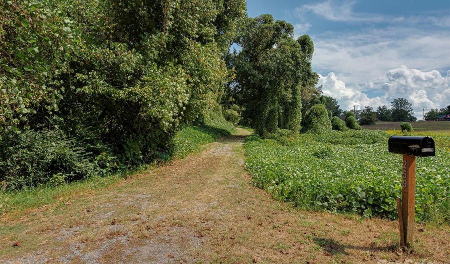 259 Roberts Rd, Blacksburg, SC 29702 - 3 Beds, 2 Bath