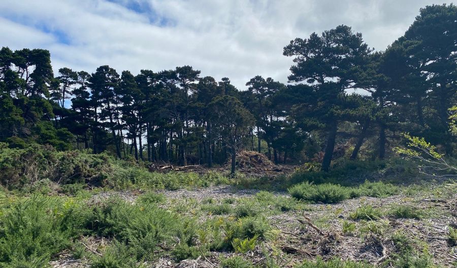 20 St SW, Bandon, OR 97411 - 0 Beds, 0 Bath