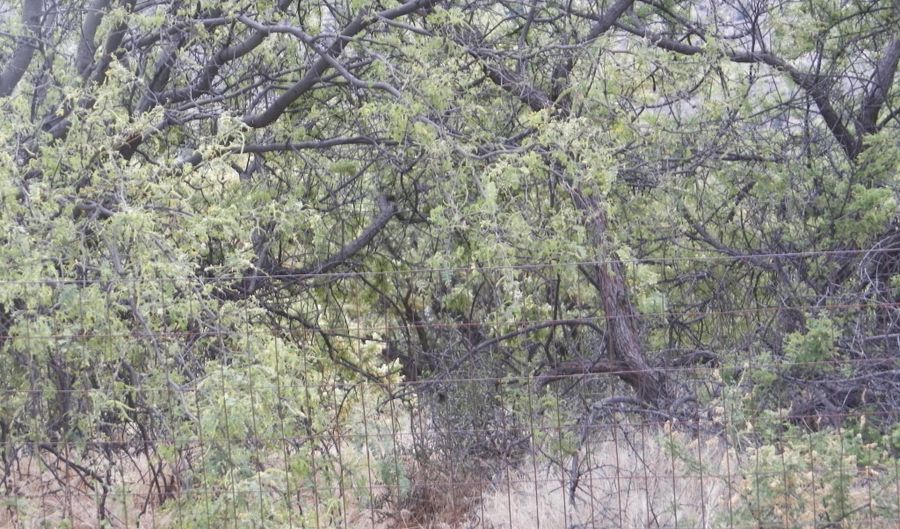1780 Lauren Ln, Clarkdale, AZ 86324 - 0 Beds, 0 Bath