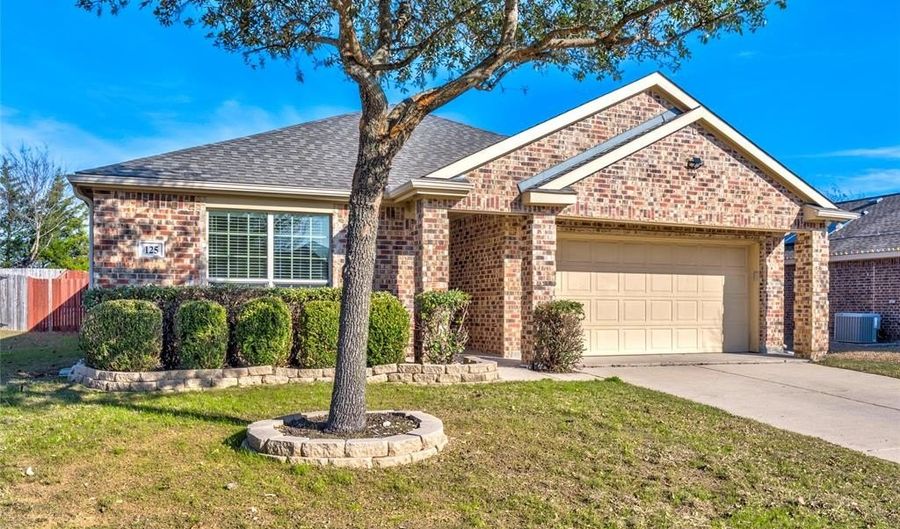 125 Indian Crk, Anna, TX 75409 - 3 Beds, 2 Bath