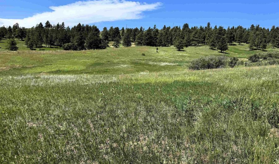 11 Tower Ridge Dr, Devils Tower, WY 82714 - 1 Beds, 0 Bath
