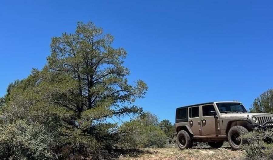 307 Off Of Old Deputy Shortline, Ash Fork, AZ 86320 - 0 Beds, 0 Bath