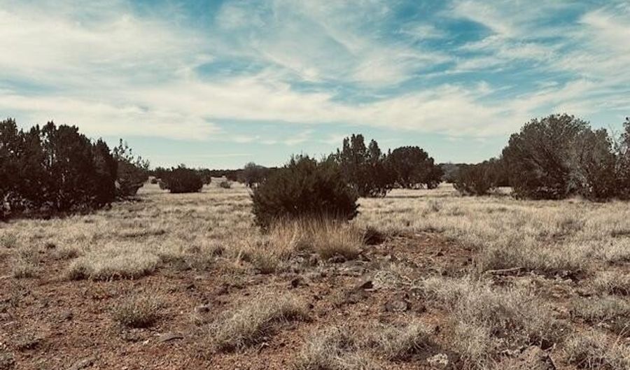 Lot 43se Tides Trl, Ash Fork, AZ 86320 - 0 Beds, 0 Bath