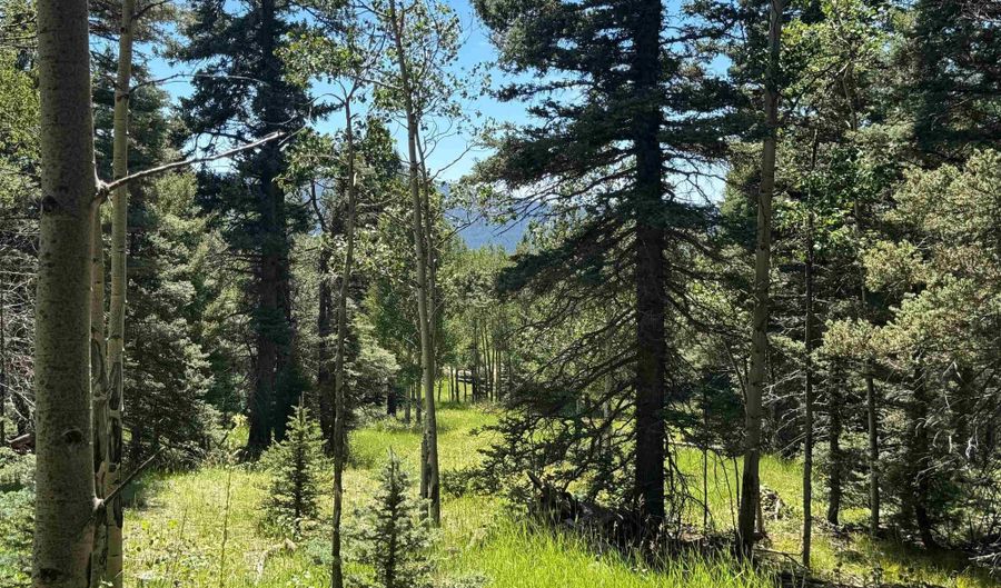 Lot 1012 El Camino Real, Angel Fire, NM 87710 - 0 Beds, 0 Bath