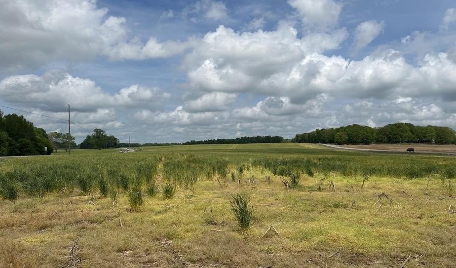 54 Acres Hwy 207, Anderson, AL 35610 - 0 Beds, 0 Bath